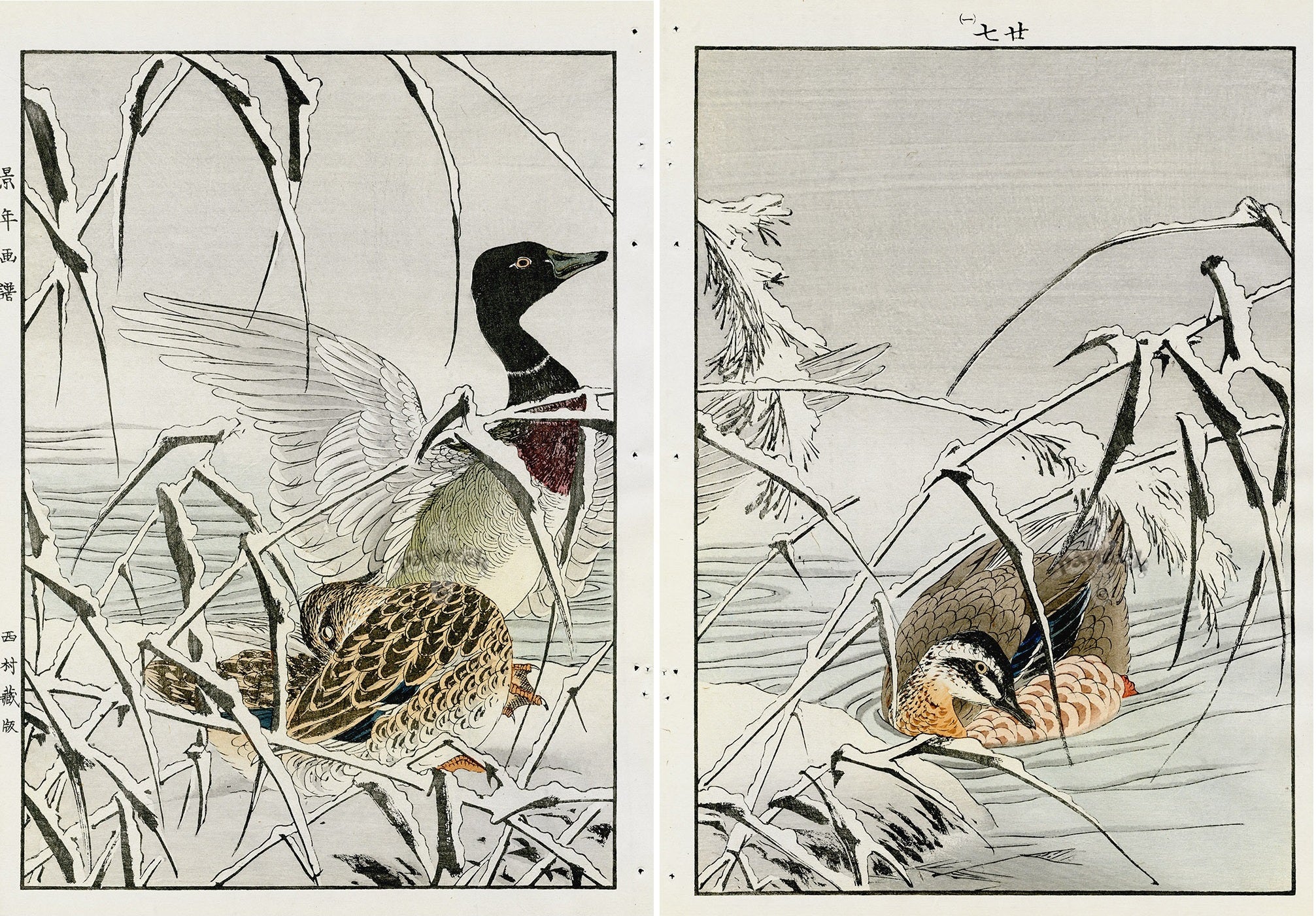 Keinen Imao Birds Kaitsuburi Duck Snow 2 prints
