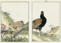 Keinen Imao Birds Kiju (Green pheasant) - Spring 2 prints - Panteek Antique Prints
