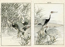 Keinen Imao Birds Manazuru Hooded Crane 2 prints - Panteek Antique Prints