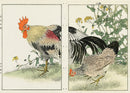 Keinen Imao Birds Niwatori Rooster and chick 2 prints - Panteek Antique Prints