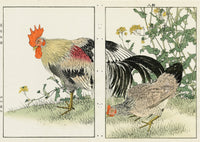 Keinen Imao Birds Niwatori Rooster and chick 2 prints - Panteek Antique Prints