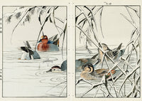 Keinen Imao Birds Reeds in Snow, Murekamo Duck 2 prints - Panteek Antique Prints