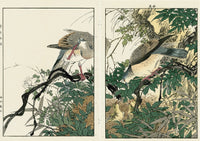 Keinen Imao Birds Roses, Nest Spring 2 prints - Panteek Antique Prints