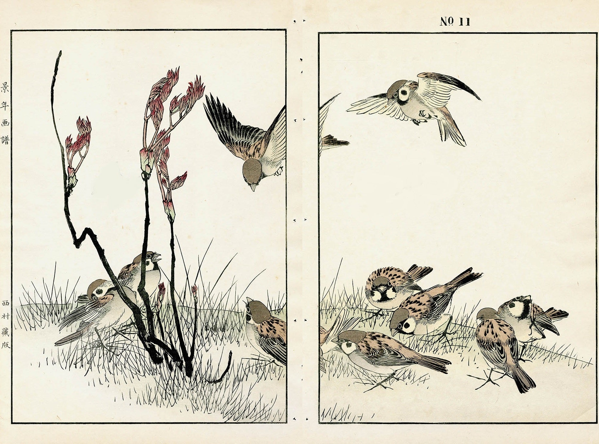 Keinen Imao Birds Sparrows 2 prints
