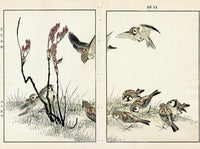 Keinen Imao Birds Sparrows 2 prints - Panteek Antique Prints