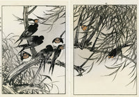 Keinen Imao Birds Swallows 2 prints - Panteek Antique Prints
