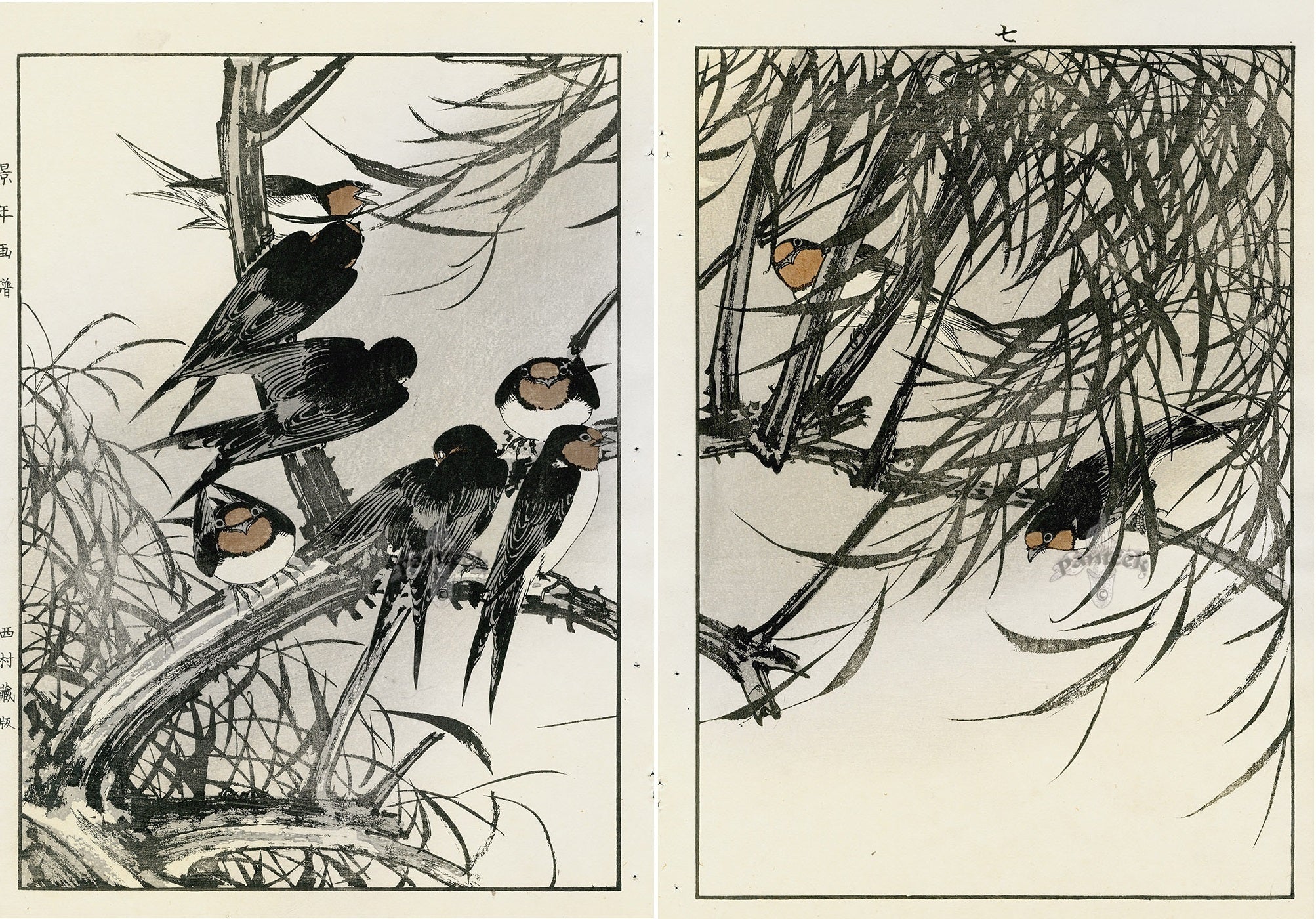 Keinen Imao Birds Swallows 2 prints