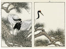 Keinen Imao Birds Tanchyotsura (Japanese Crane) - Spring 2 prints - Panteek Antique Prints