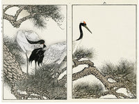Keinen Imao Birds Tanchyotsura (Japanese Crane) - Spring 2 prints - Panteek Antique Prints