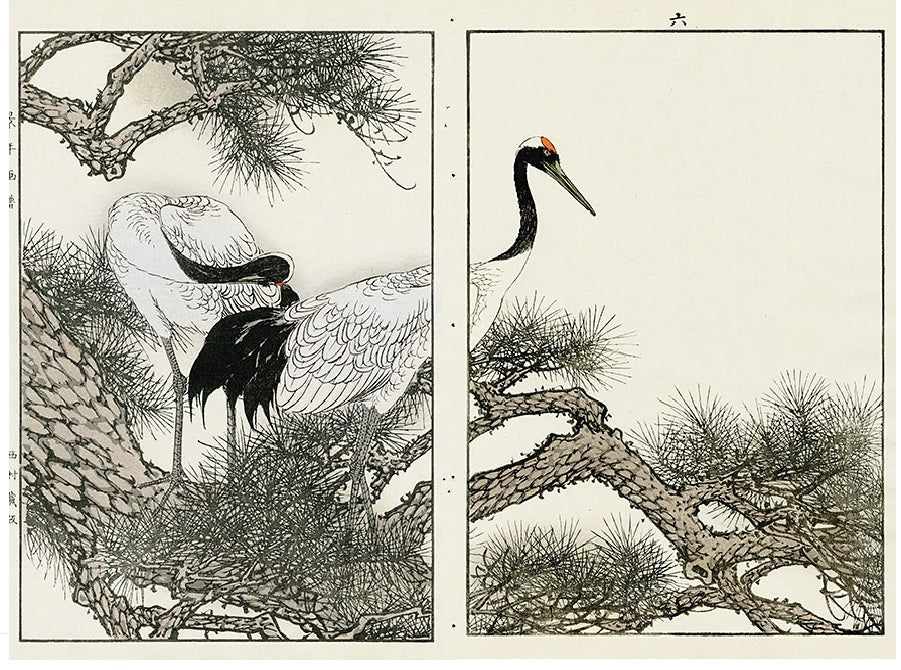 Keinen Imao Birds Tanchyotsura (Japanese Crane) - Spring 2 prints