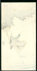 Kingfisher Crescent Moon 1930 Gesso Yoshimoto  Lifetime Edition - Panteek Antique Prints