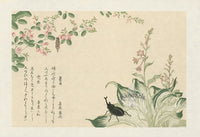 Kitagawa Utamaro Ehon Mushi Insects Bagworm, Horned Scarab Beetle - Panteek Antique Prints