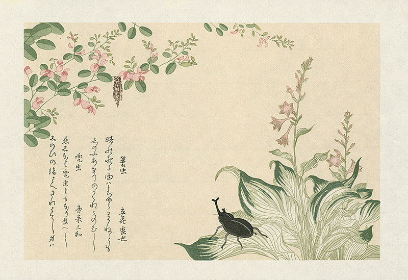 Kitagawa Utamaro Ehon Mushi Insects Bagworm, Horned Scarab Beetle