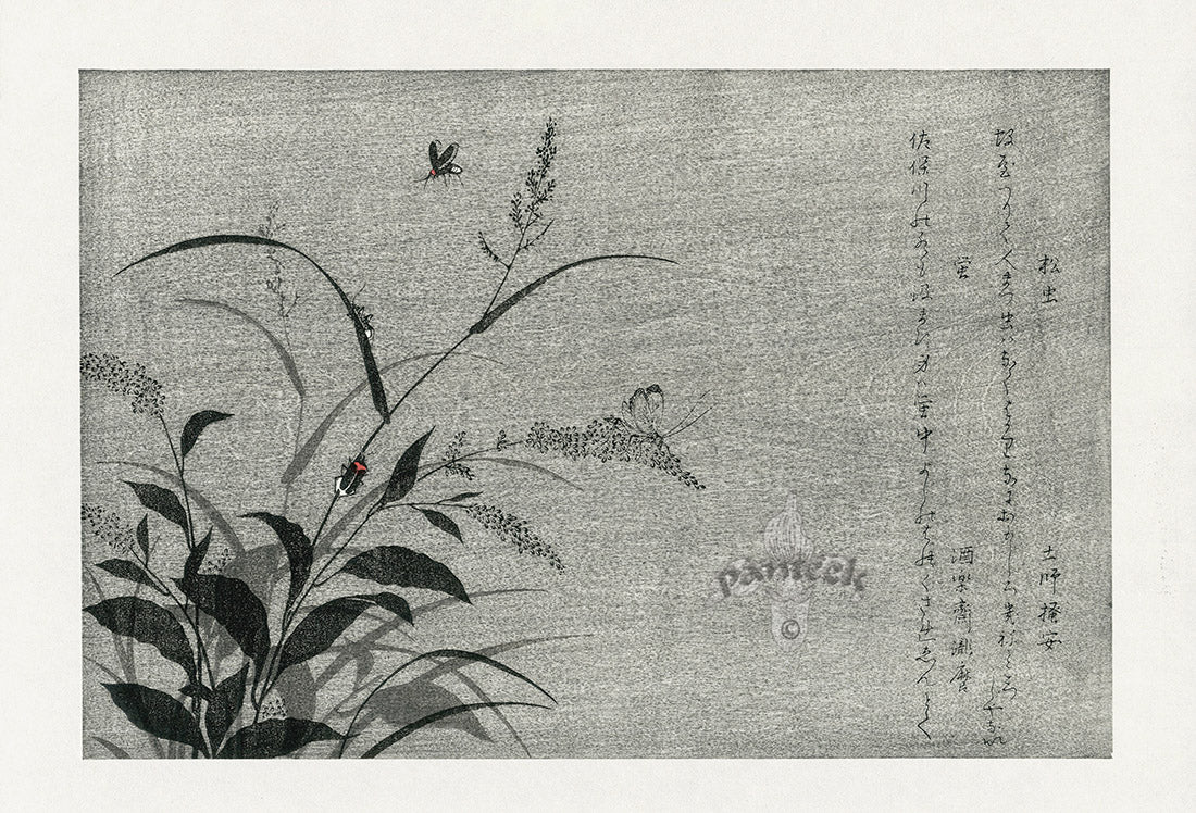 Kitagawa Utamaro Ehon Mushi Insects Firefly, Tree Cricket