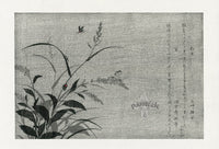 Kitagawa Utamaro Ehon Mushi Insects Firefly, Tree Cricket - Panteek Antique Prints