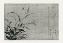Kitagawa Utamaro Ehon Mushi Insects Firefly, Tree Cricket - Panteek Antique Prints