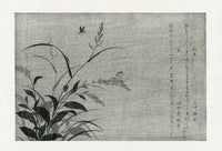 Kitagawa Utamaro Ehon Mushi Insects Firefly, Tree Cricket - Panteek Antique Prints