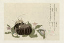 Kitagawa Utamaro Ehon Mushi Insects Giant Katydid - Panteek Antique Prints