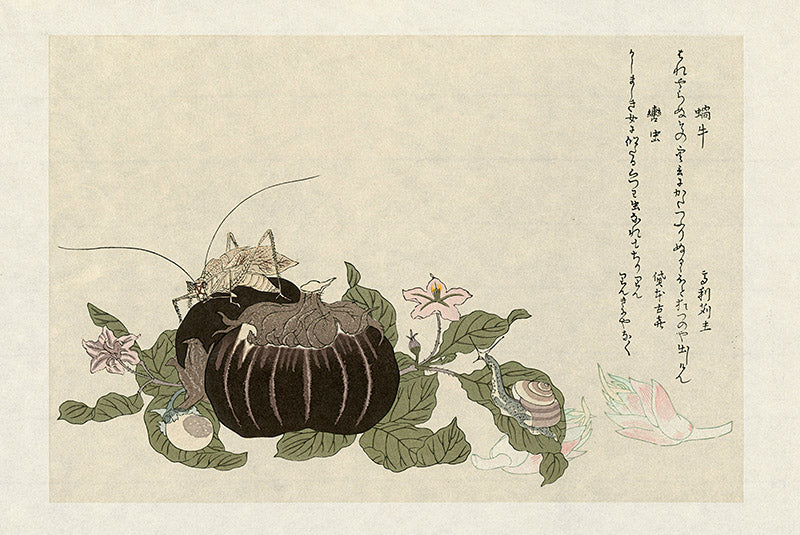 Kitagawa Utamaro Ehon Mushi Insects Giant Katydid