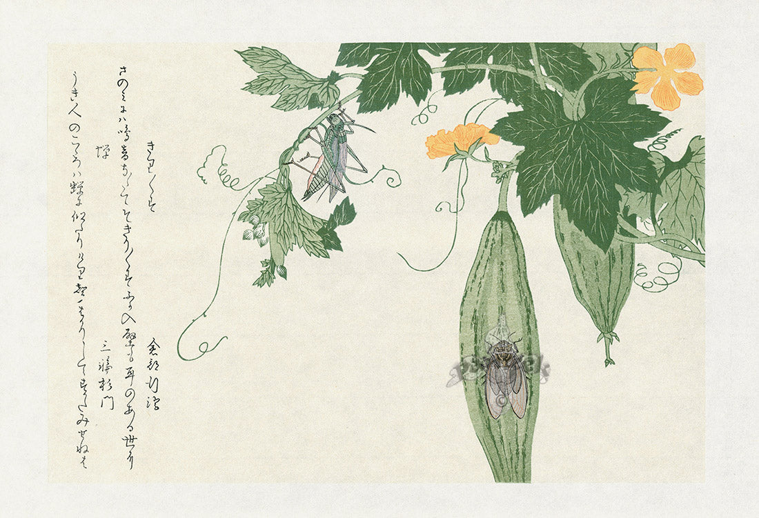 Kitagawa Utamaro Ehon Mushi Insects Grasshopper, Cicada