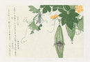 Kitagawa Utamaro Ehon Mushi Insects Grasshopper, Cicada - Panteek Antique Prints