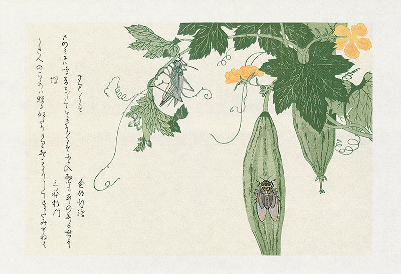 Kitagawa Utamaro Ehon Mushi Insects Grasshopper, Cicada