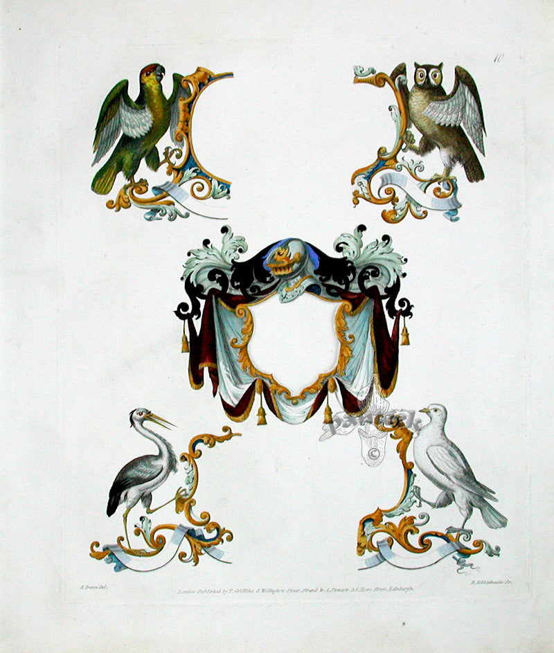 Knight Heraldry Designs 1855 Dove, Parrot, Owl, Heron
