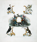 Knight Heraldry Designs 1855 Ostrich, Pegasus, Otter, Raven - Panteek Antique Prints