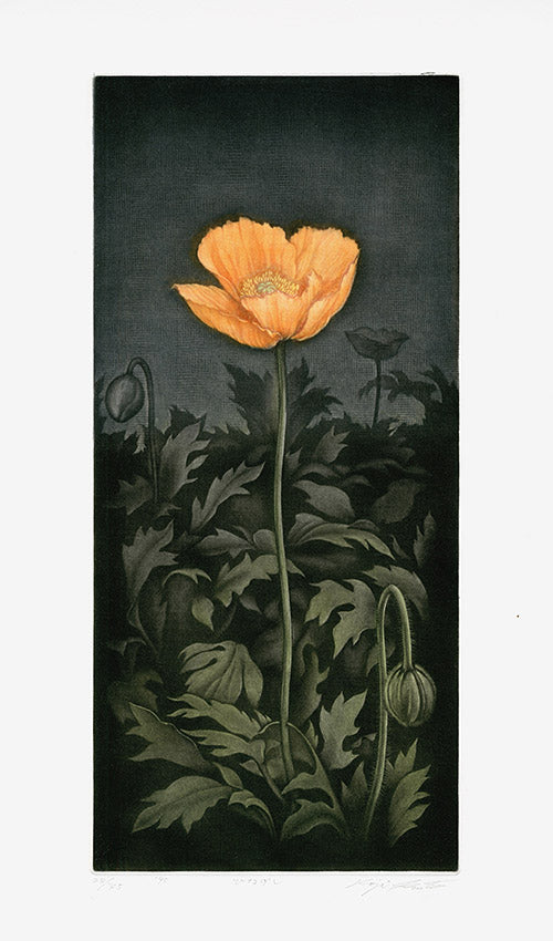 Koji Ikuta Flower Orange Poppy - Panteek Antique Prints