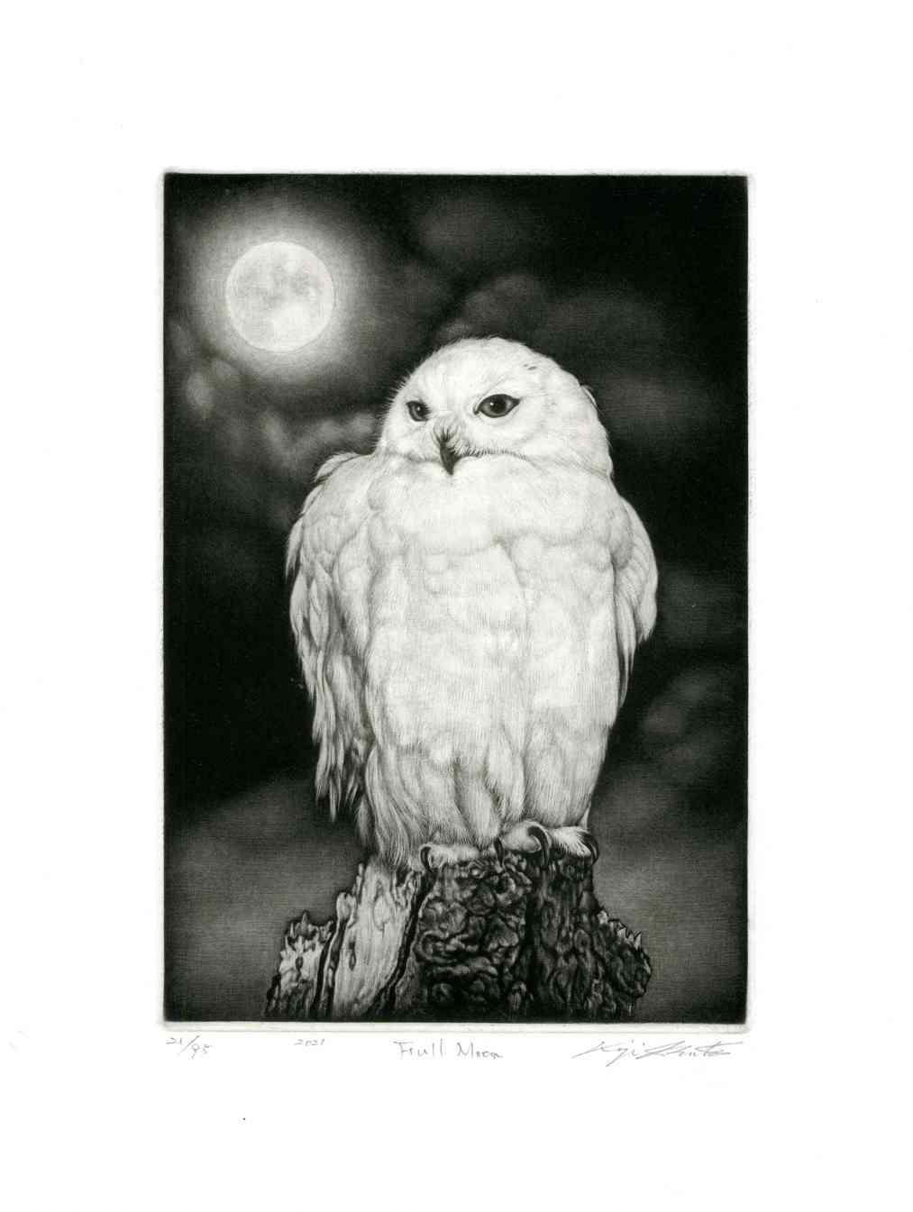Koji Ikuta Full Moon, Owl