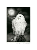 Koji Ikuta Full Moon, Owl - Panteek Antique Prints