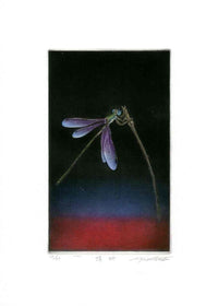 Koji Ikuta Insect Dragonfly - Panteek Antique Prints