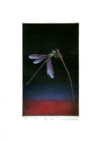Koji Ikuta Insect Dragonfly - Panteek Antique Prints