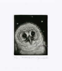 Koji Ikuta Muku Muku Bird Owl - Panteek Antique Prints