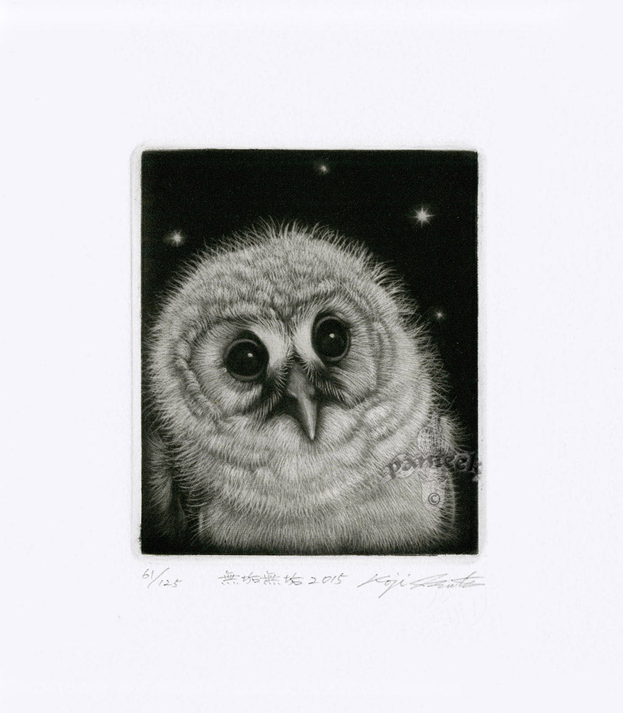 Koji Ikuta Muku Muku Bird Owl