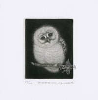 Koji Ikuta Muku Muku Owl - Panteek Antique Prints