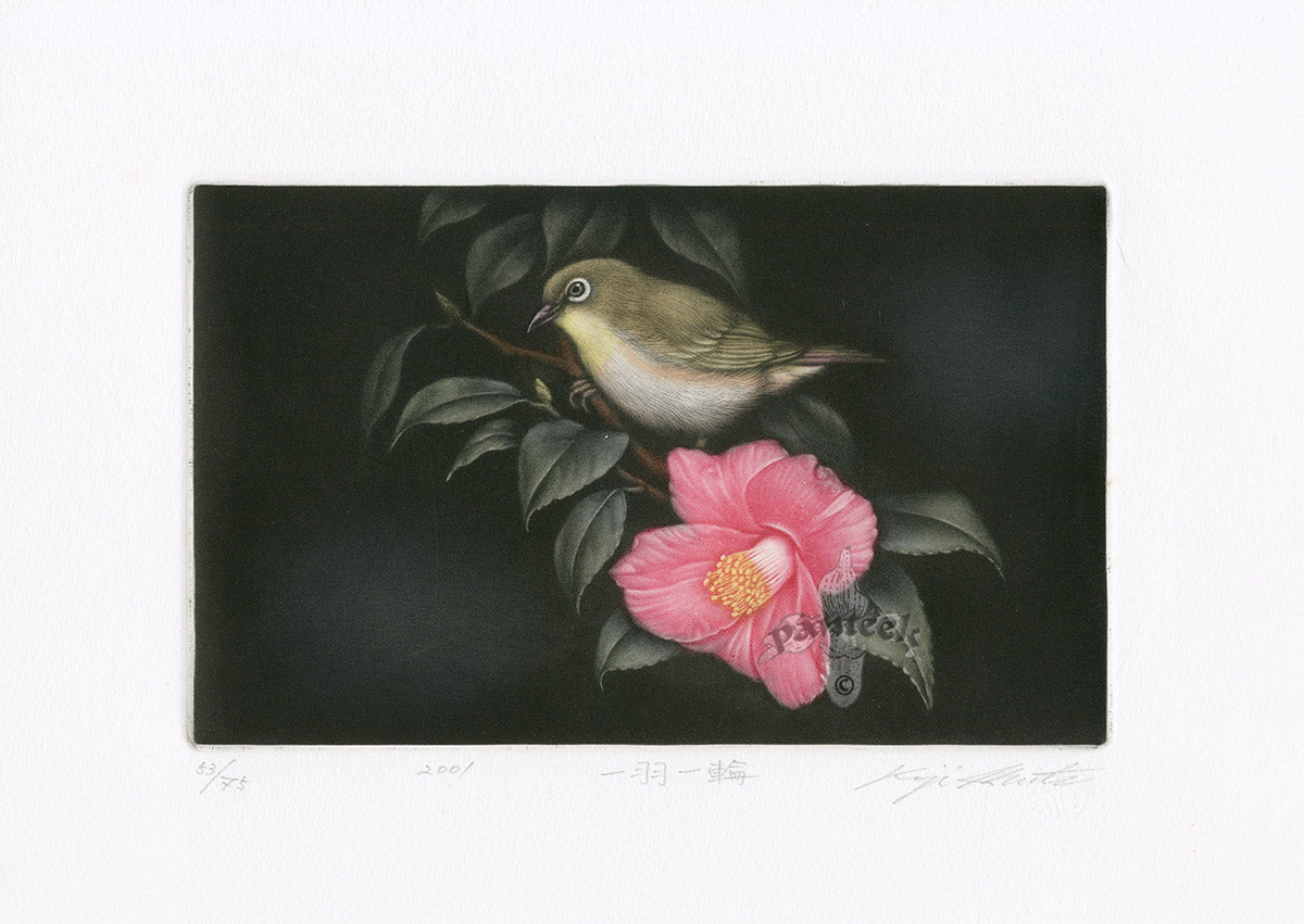 Koji Ikuta One Bird, One Camellia