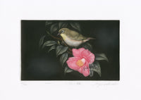 Koji Ikuta One Bird, One Camellia - Panteek Antique Prints