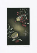 Koji Ikuta Pyracantha & Japanese White-eye - Panteek Antique Prints