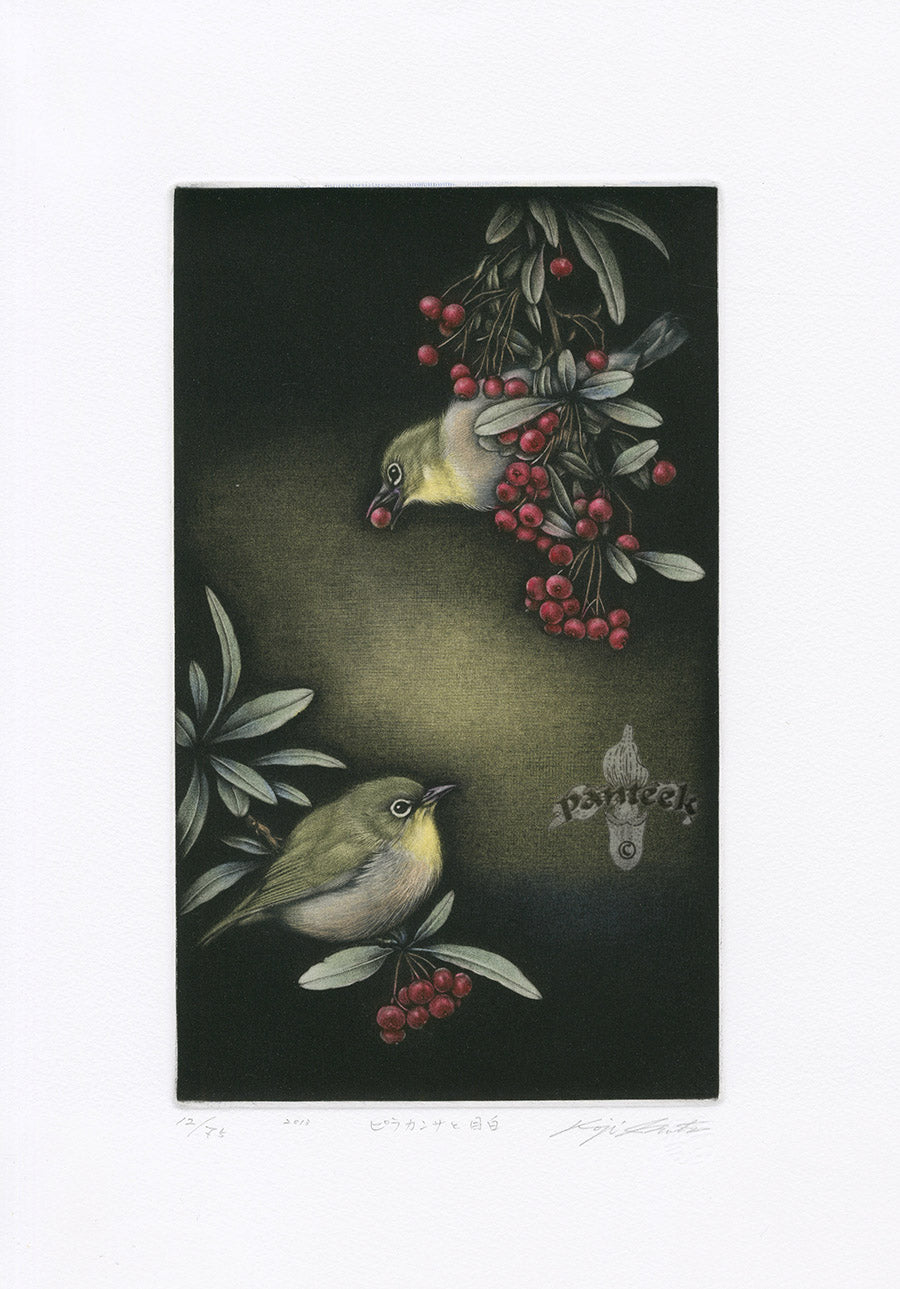 Koji Ikuta Pyracantha & Japanese White-eye