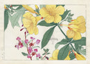 Konan Tanigami Western Flowers Allemanda, Clavia - Panteek Antique Prints