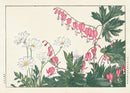 Konan Tanigami Western Flowers Bleeding Heart, Marguerite Daisy - Panteek Antique Prints