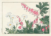 Konan Tanigami Western Flowers Bleeding Heart, Marguerite Daisy - Panteek Antique Prints