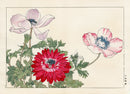 Konan Tanigami Western Flowers Double Red Poppy - Panteek Antique Prints