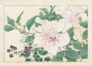 Konan Tanigami Western Flowers Hibiscus, Browalia - Panteek Antique Prints