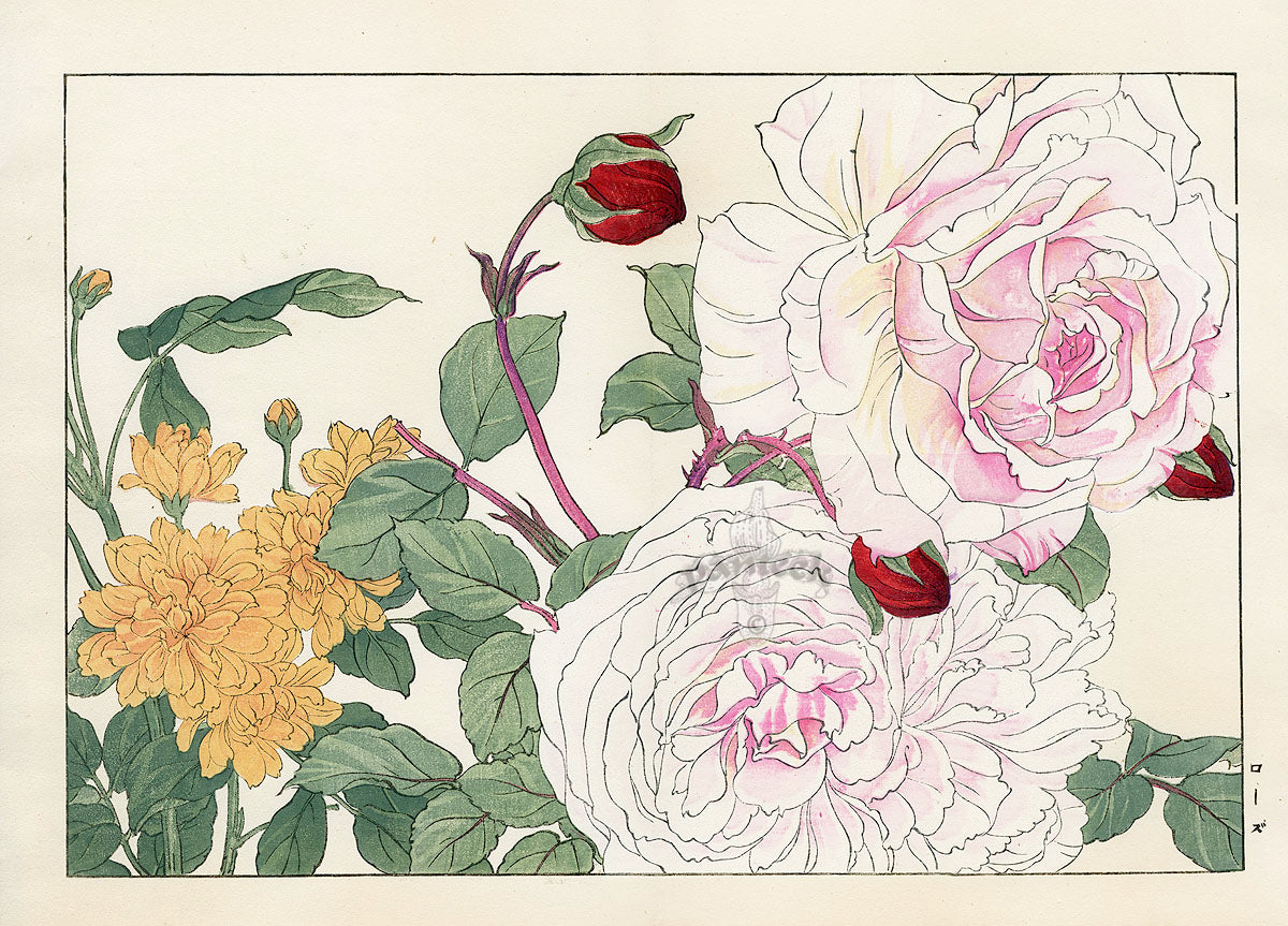 Konan Tanigami Western Flowers Pink, White Rose
