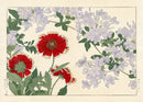 Konan Tanigami Western Flowers Plumbago, Gaillandia - Panteek Antique Prints