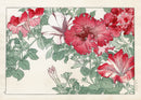 Konan Tanigami Western Flowers Red Petunia - Panteek Antique Prints