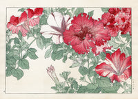 Konan Tanigami Western Flowers Red Petunia - Panteek Antique Prints