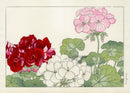 Konan Tanigami Western Flowers Red, White, Pink Geranium - Panteek Antique Prints